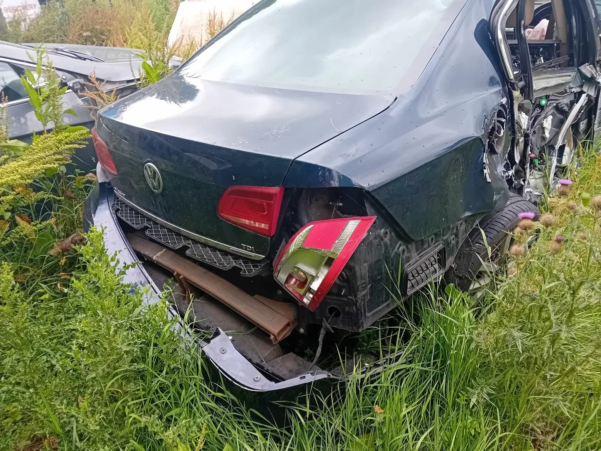 Passat - Image 4