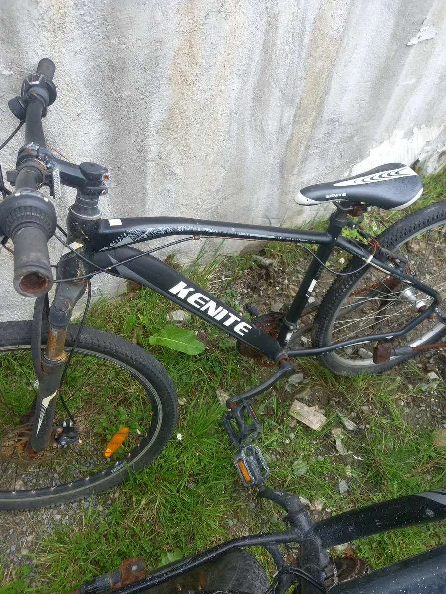 Free to collect - Image 4