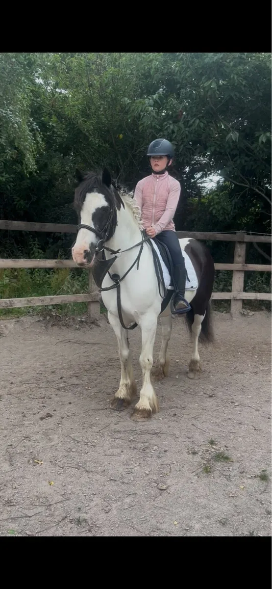 🦄princess perfect first pony🦄 - Image 2