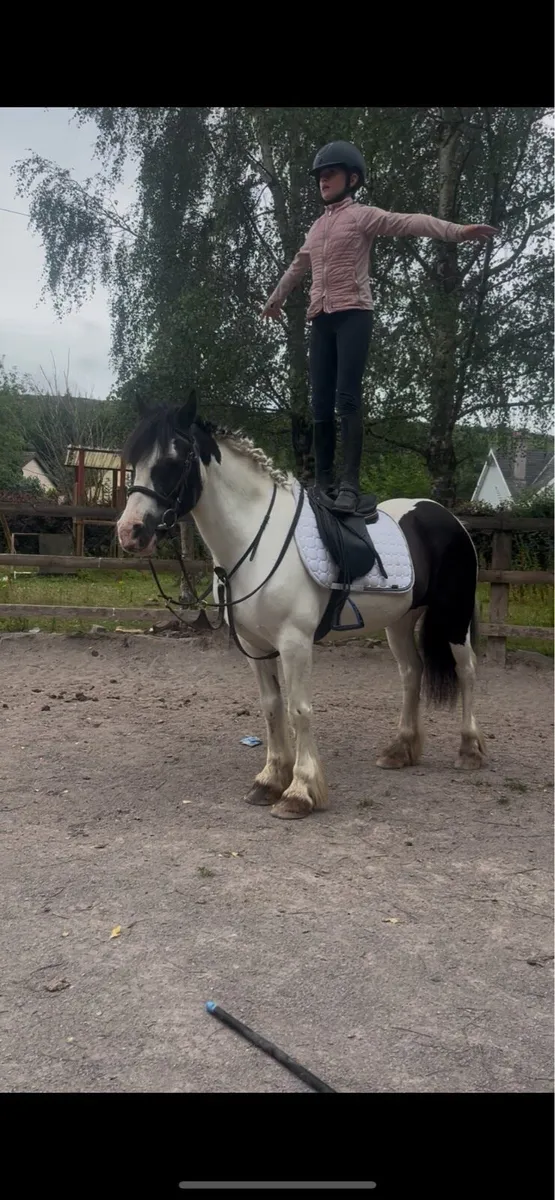 🦄princess perfect first pony🦄 - Image 3