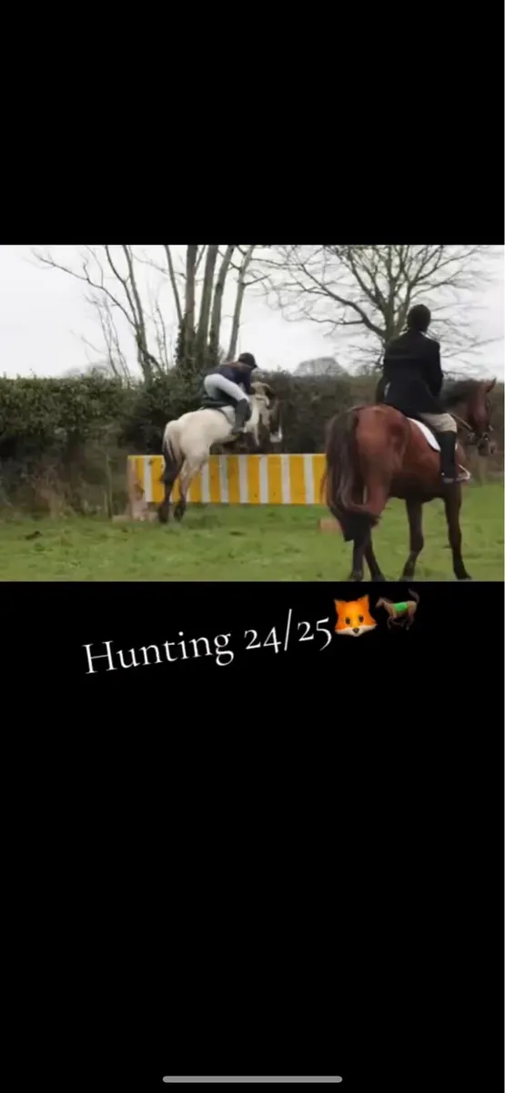 🦄princess perfect first pony🦄 - Image 4