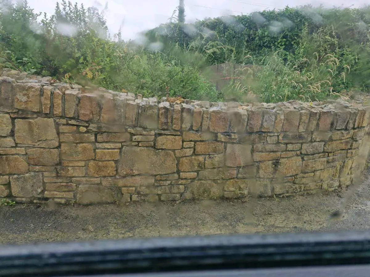 Sandstone Building stone - Image 1