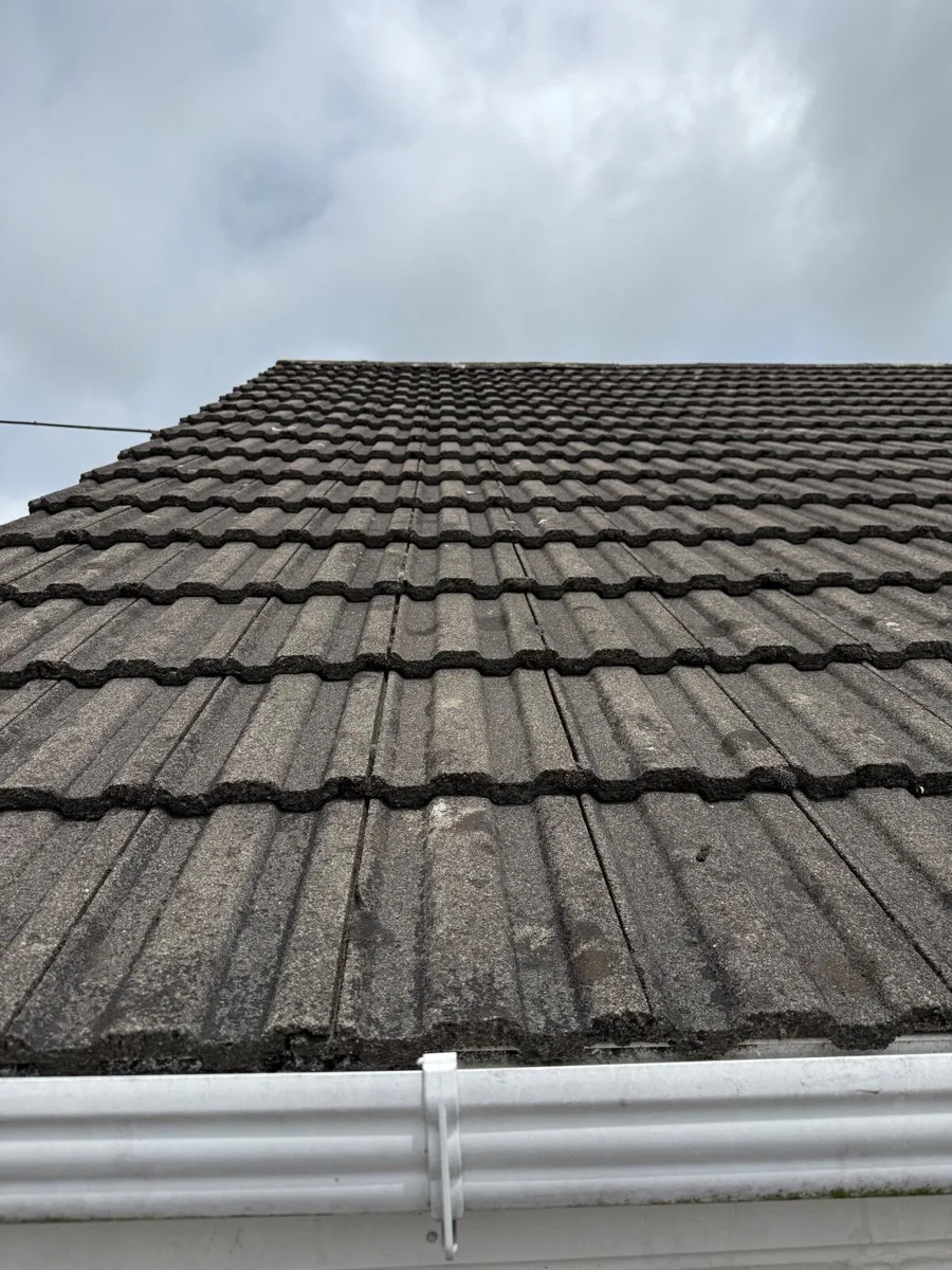 Roof tiles - Image 2