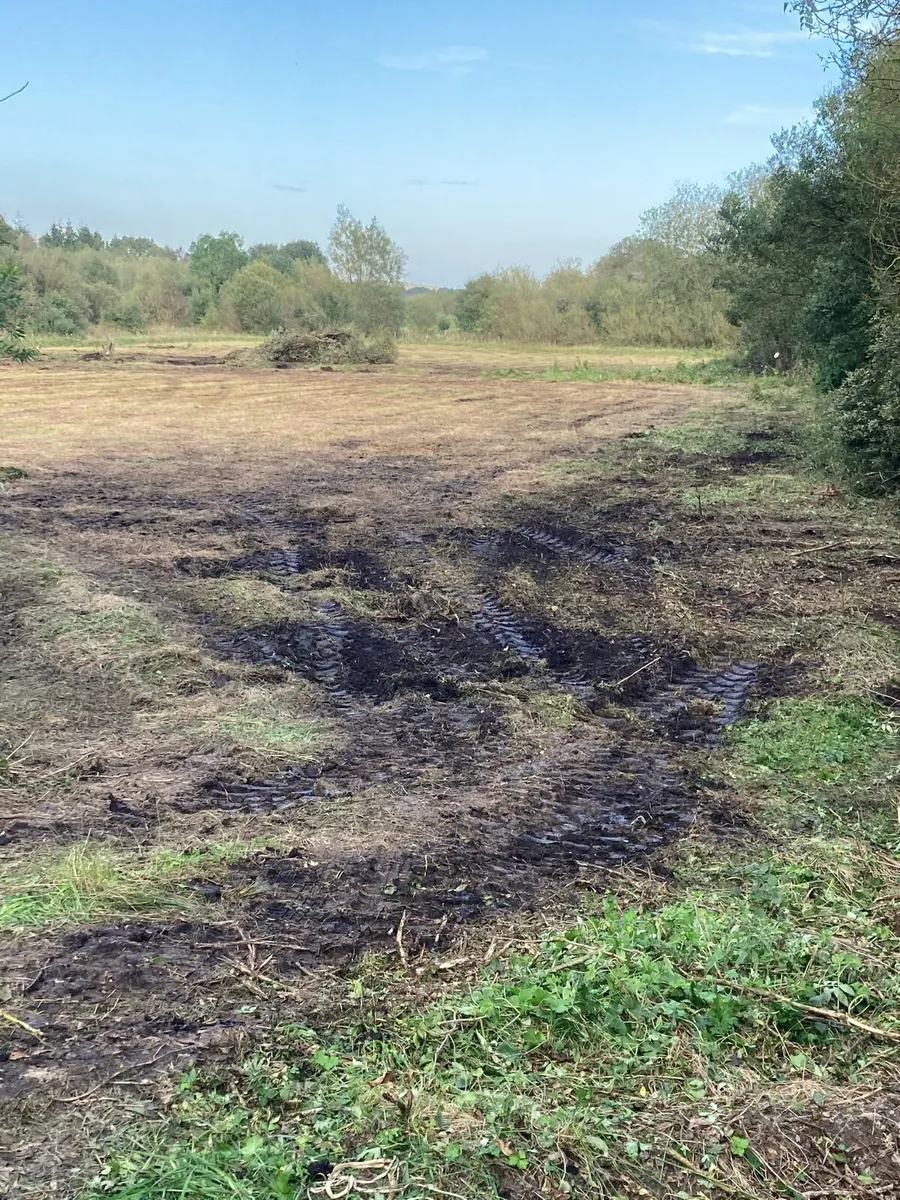 Site - Image 1