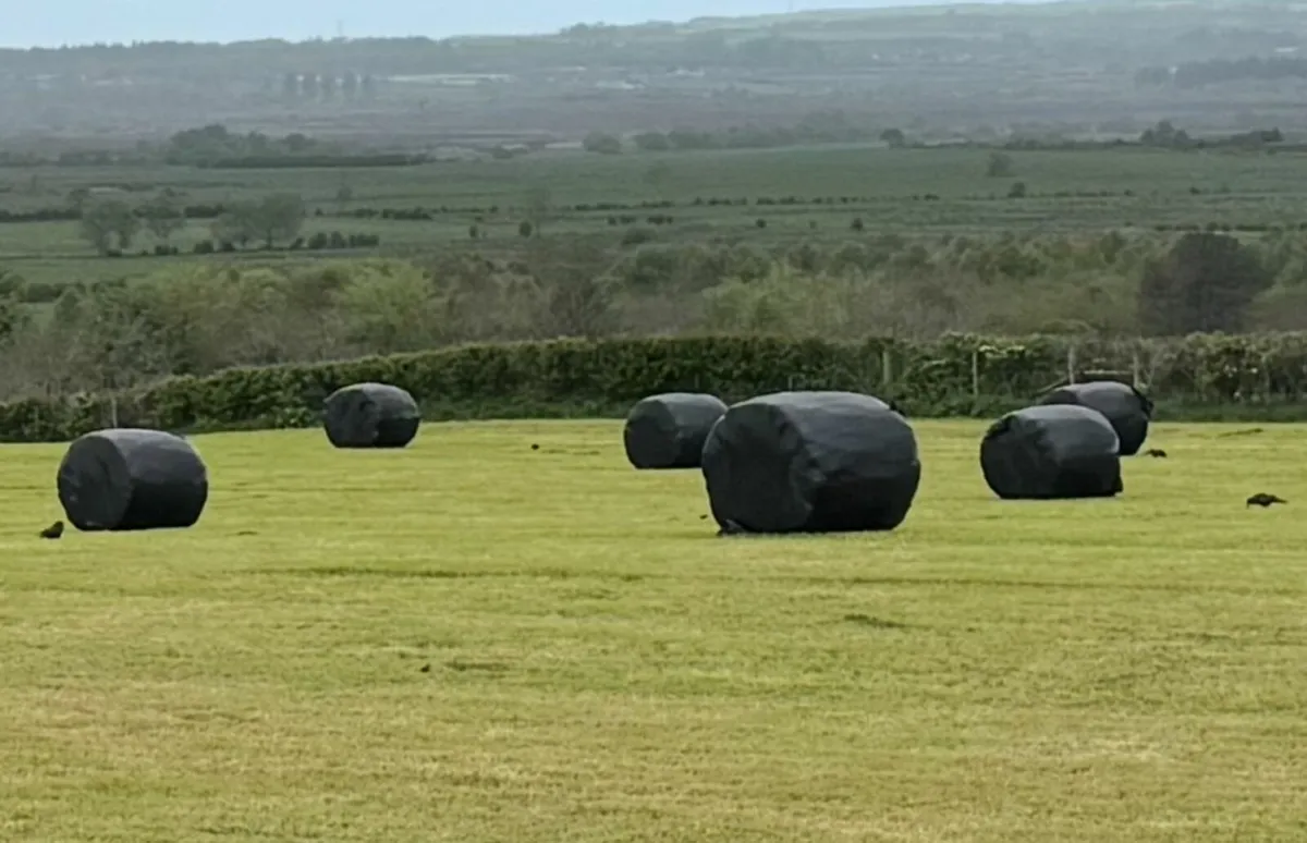 silage bales