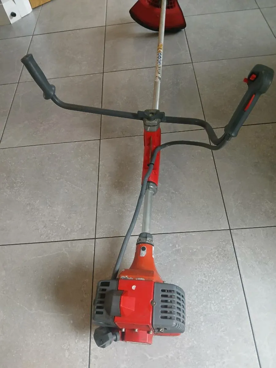 strimmer - Image 1