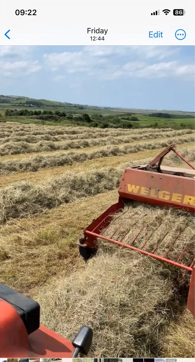 Square bales of hay - Image 4