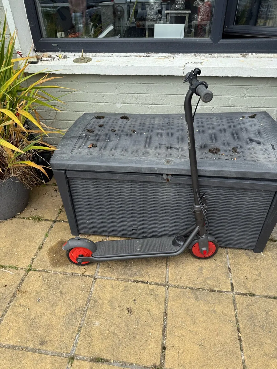 Segway ninebot scooter - Image 1