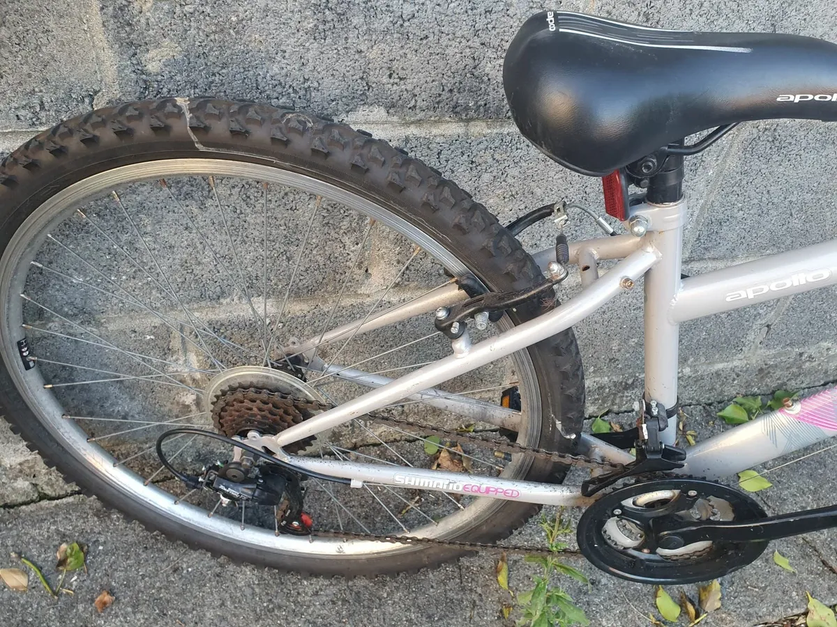 Adult bike - Image 2