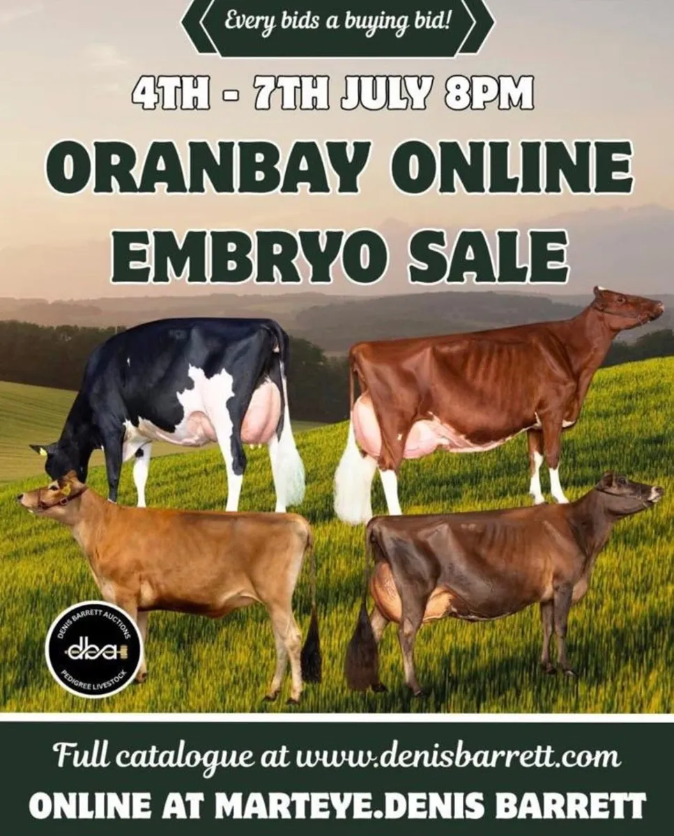 OranBay Holsteins - Image 1