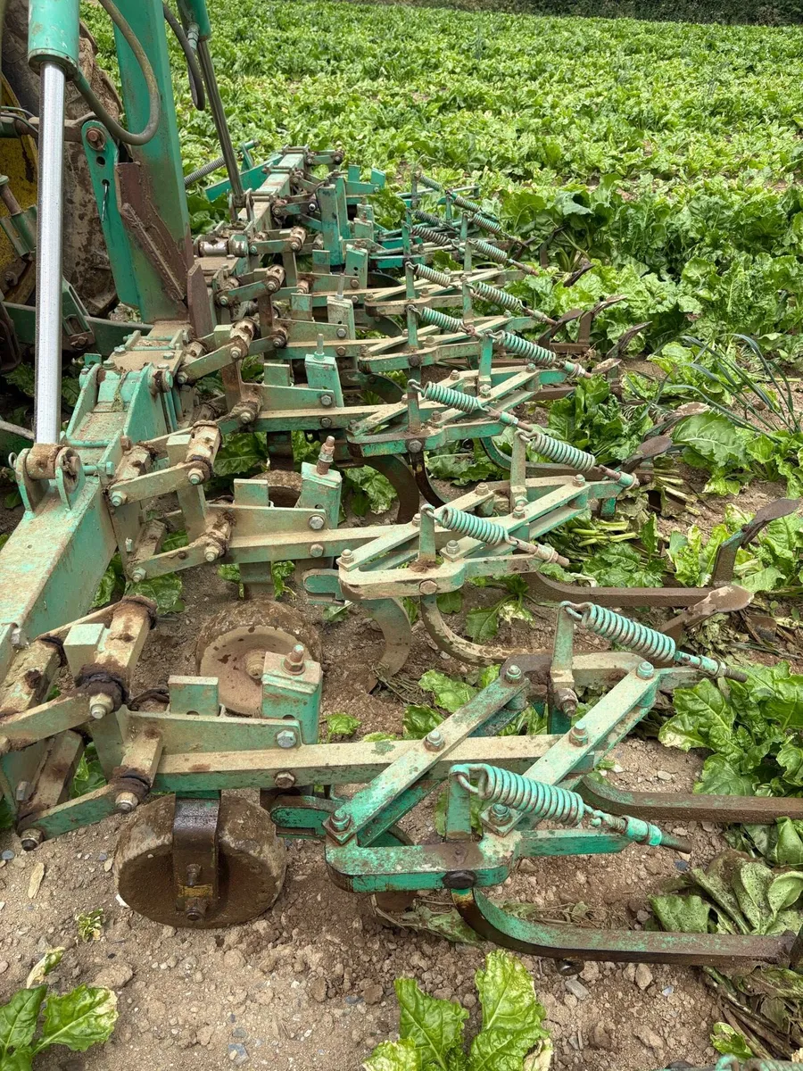Armer Salmon inter-row cultivator - Image 2