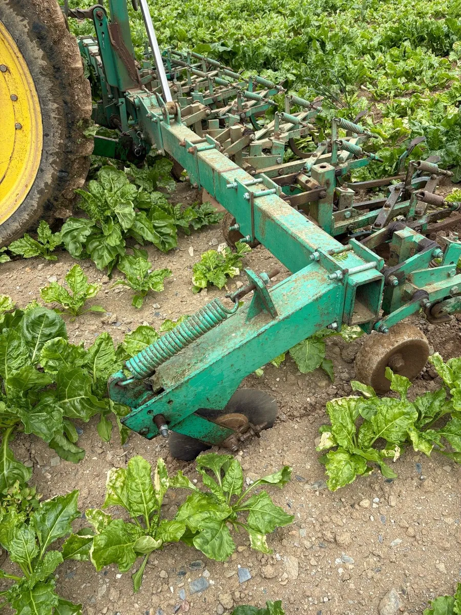 Armer Salmon inter-row cultivator - Image 3