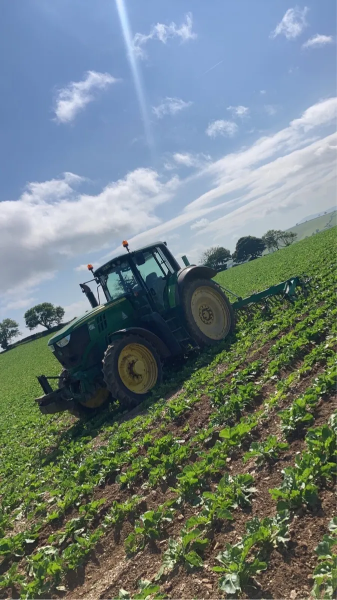 Armer Salmon inter-row cultivator - Image 1