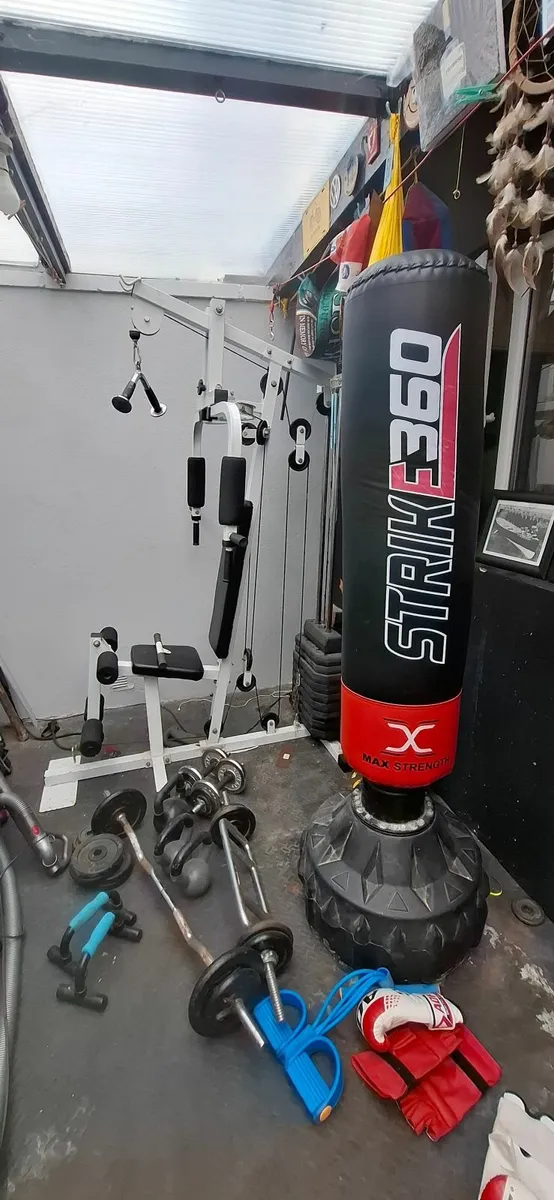 Gym Equipment - Image 4