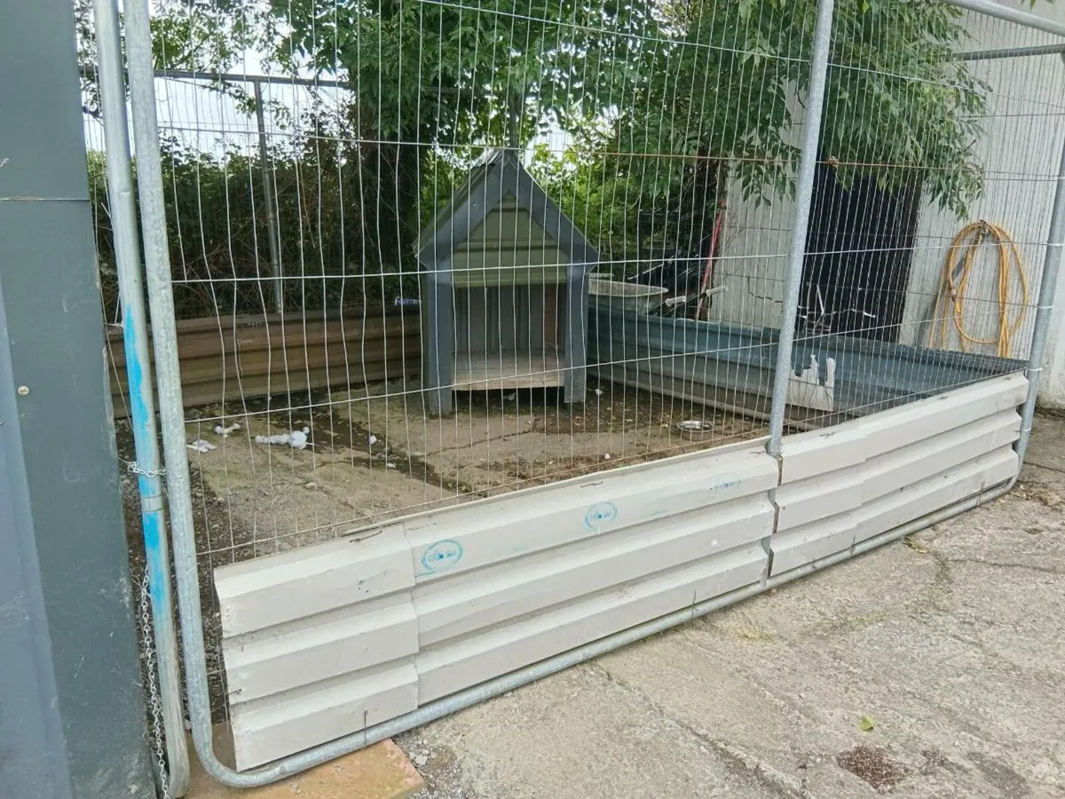 Dog run - Image 2