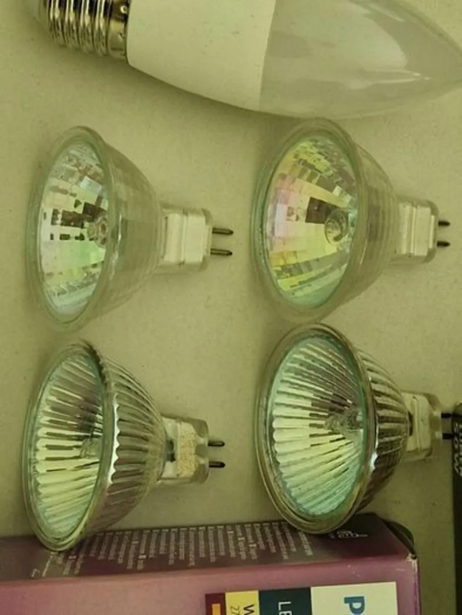 Huge Selection of NEW Various Electric Light Bulbs - Image 4