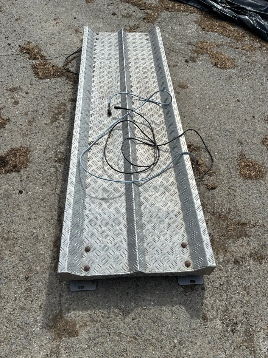 Cattle Weighing Scales - Image 2