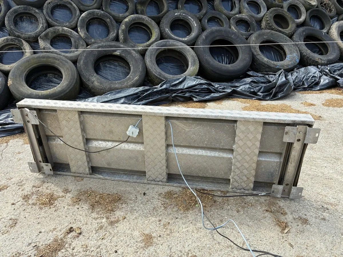 Cattle Weighing Scales - Image 3