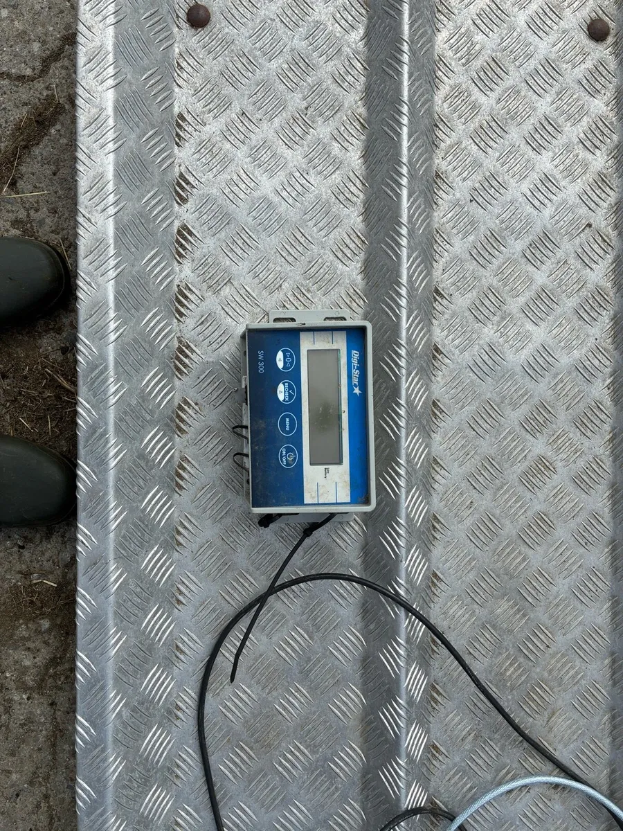 Cattle Weighing Scales - Image 1
