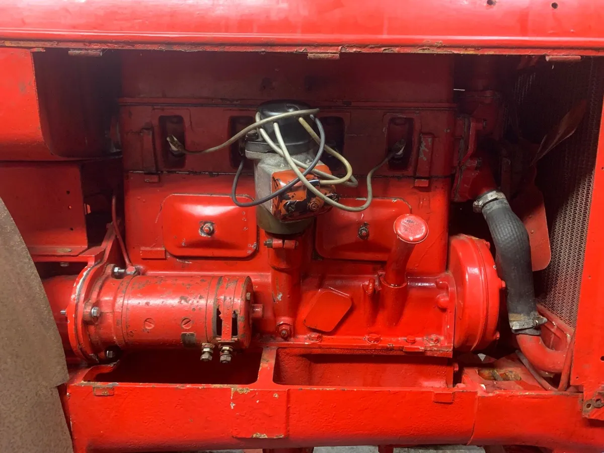 David Brown Cropmaster 1950 - Image 3
