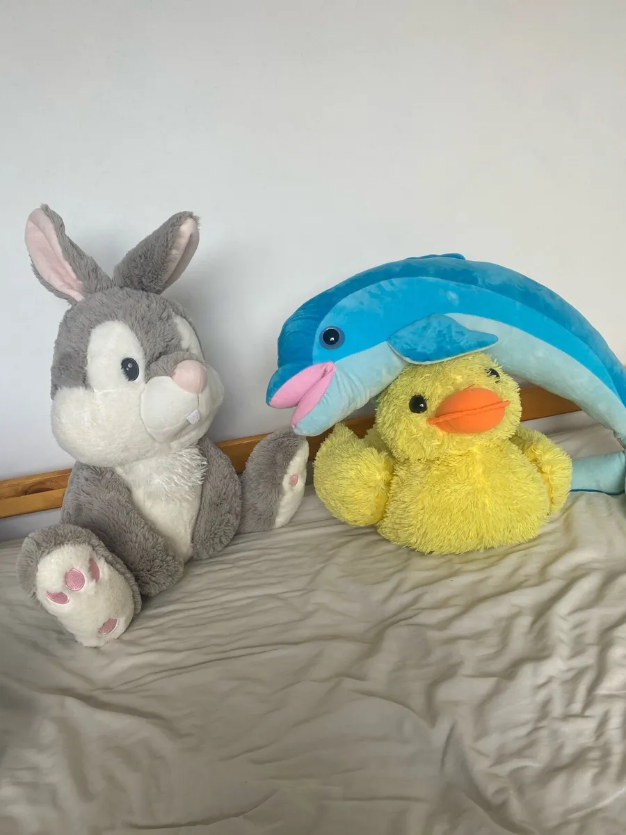 Huge Duck, Huge dolphin and huge bunny teddys - Image 1