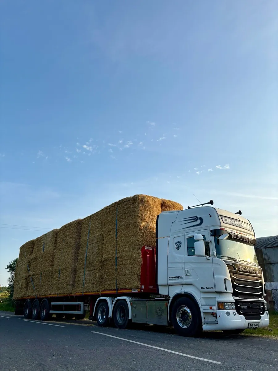 English Hay, Barley & Wheat Straw - Image 4