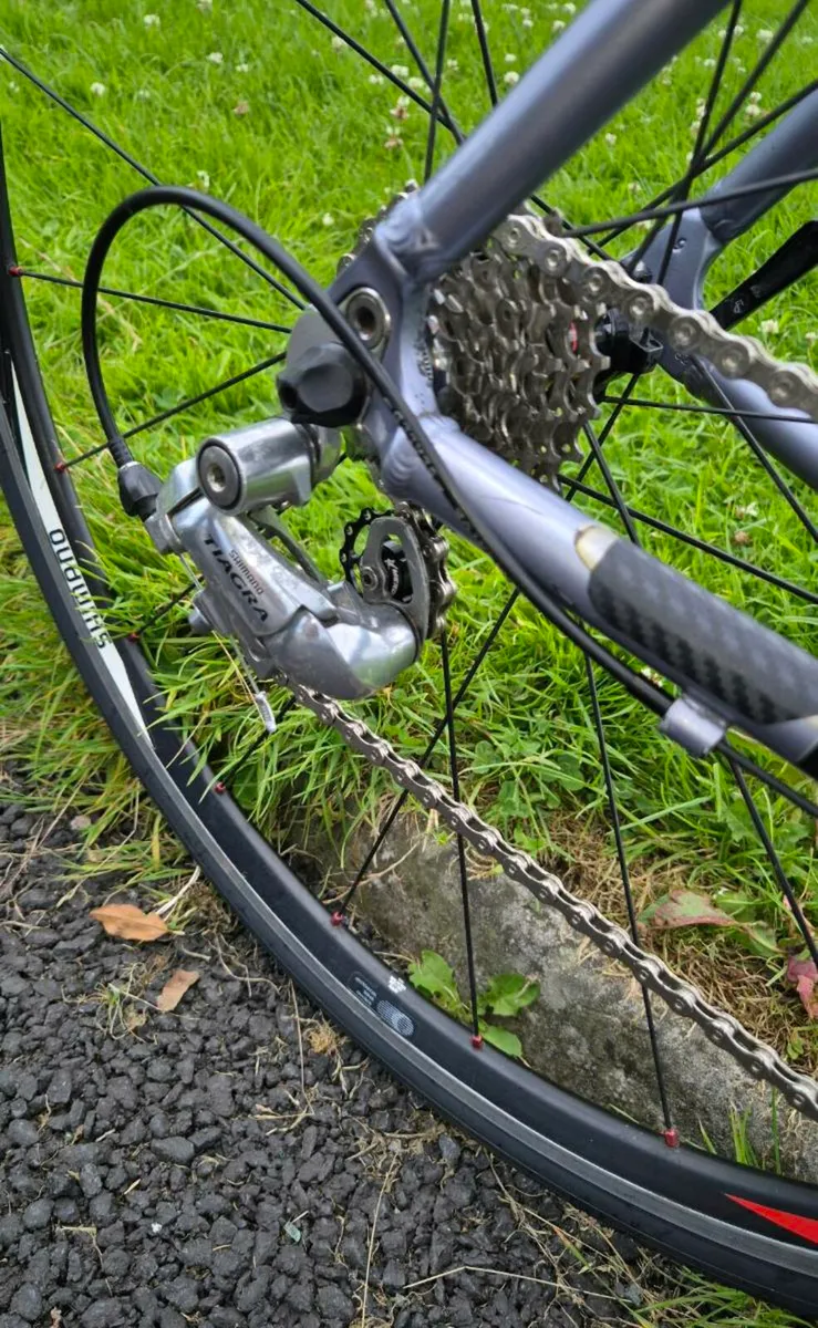 ADULT ROAD BIKE - Image 2