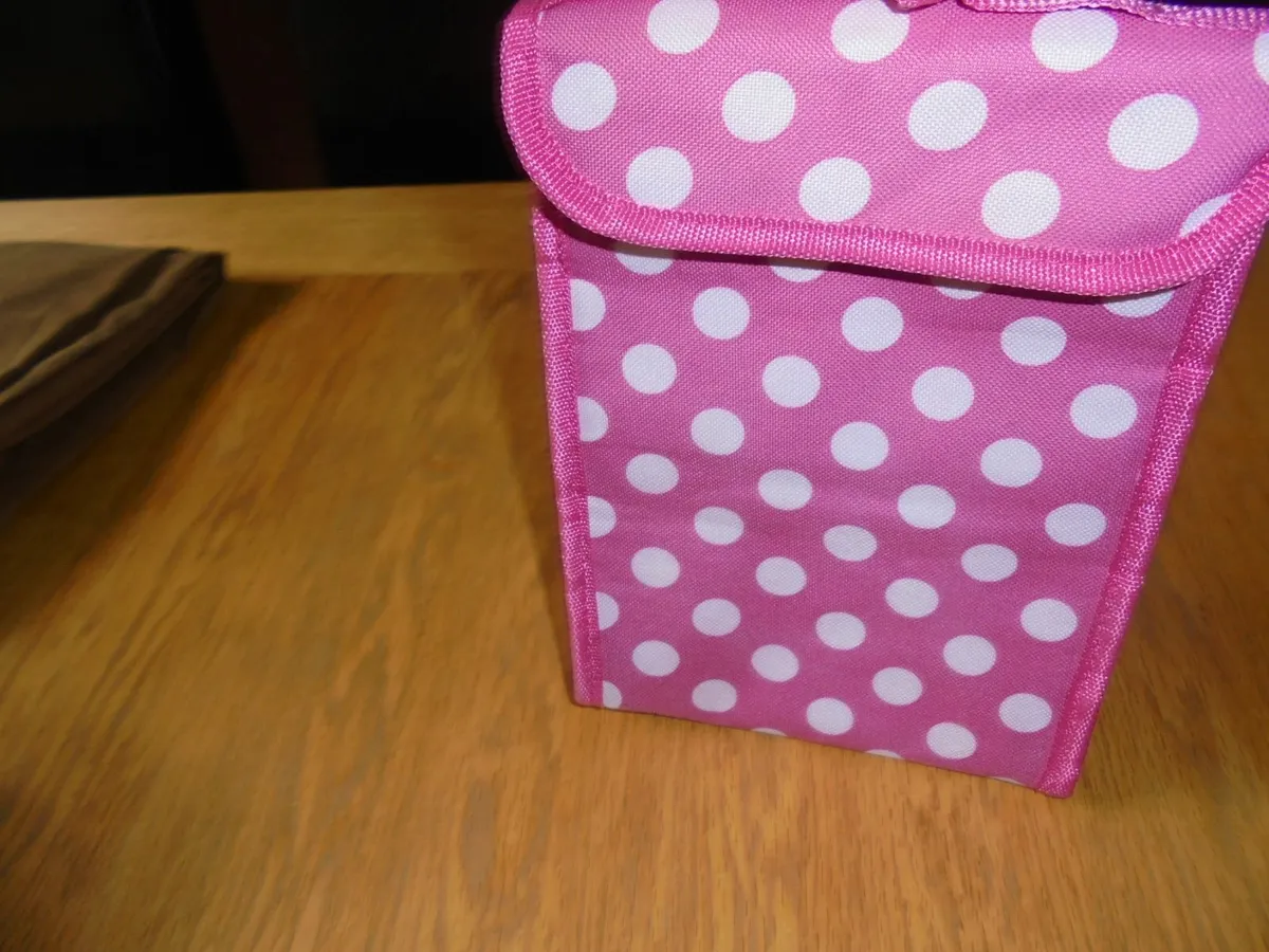 Insulated Lunch Bag for Sale - Image 1