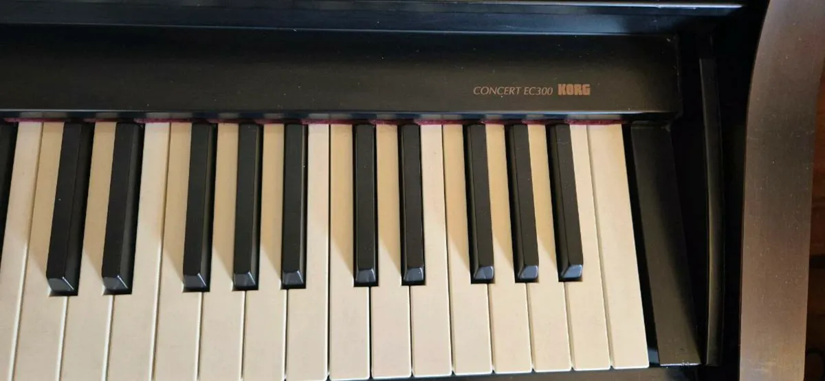Korg EC300 Piano Keyboard - Image 3