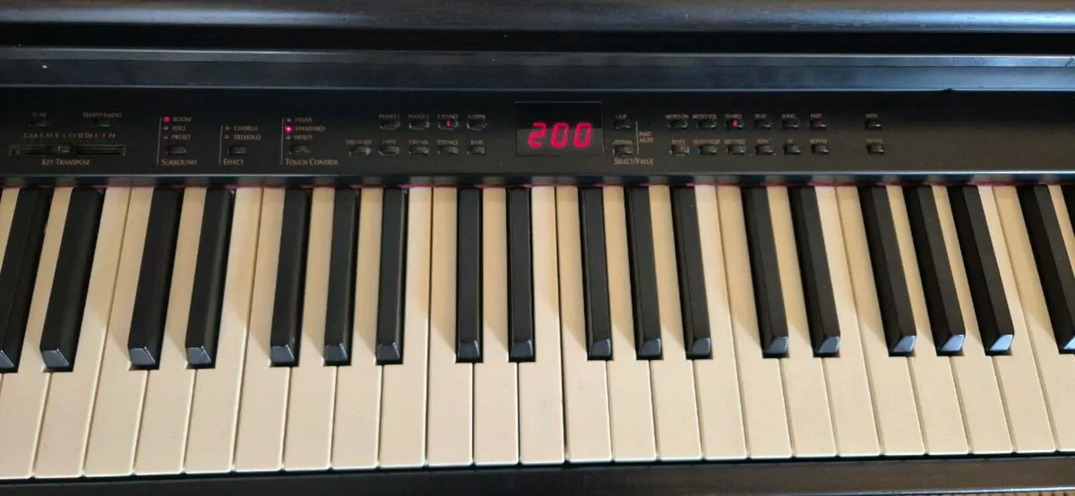 Korg EC300 Piano Keyboard - Image 4