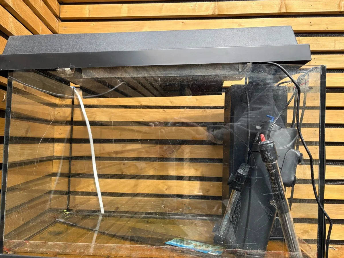 80l fish tanks - Image 1
