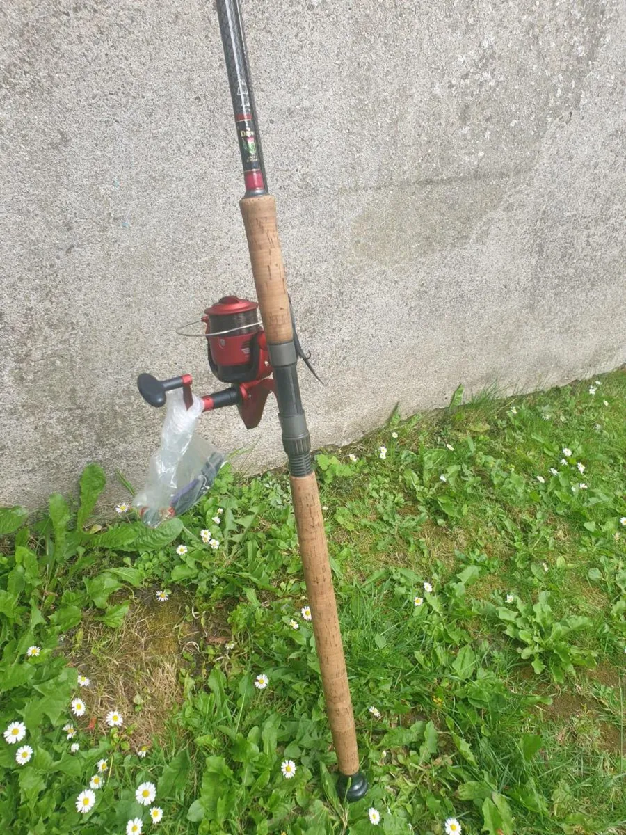 Daiwa salmon rod - Image 1