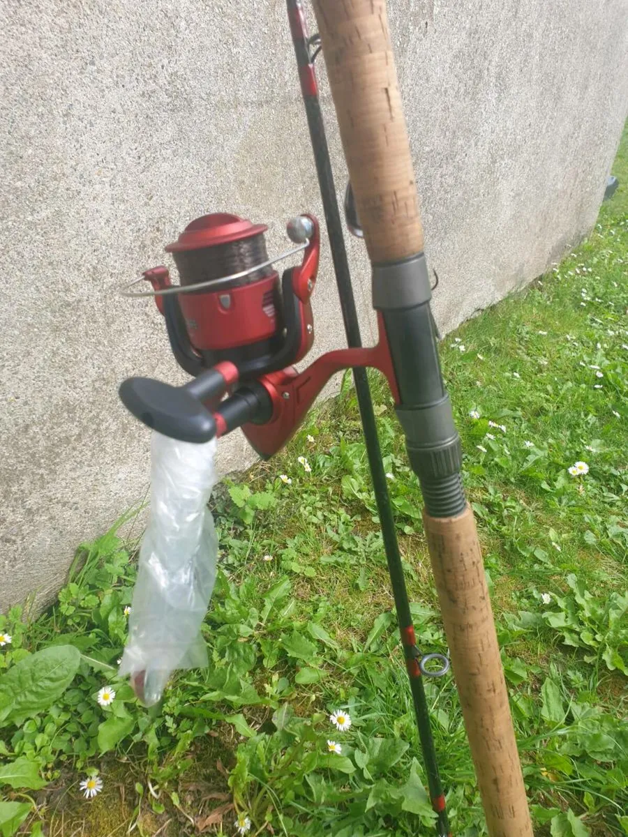 Daiwa salmon rod - Image 2