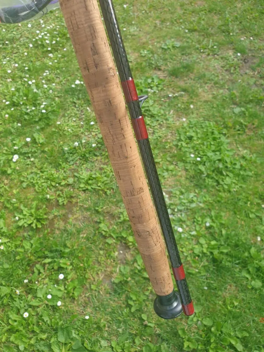 Daiwa salmon rod - Image 3
