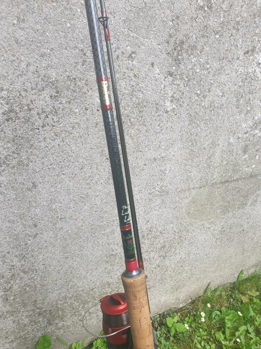 Daiwa salmon rod - Image 4