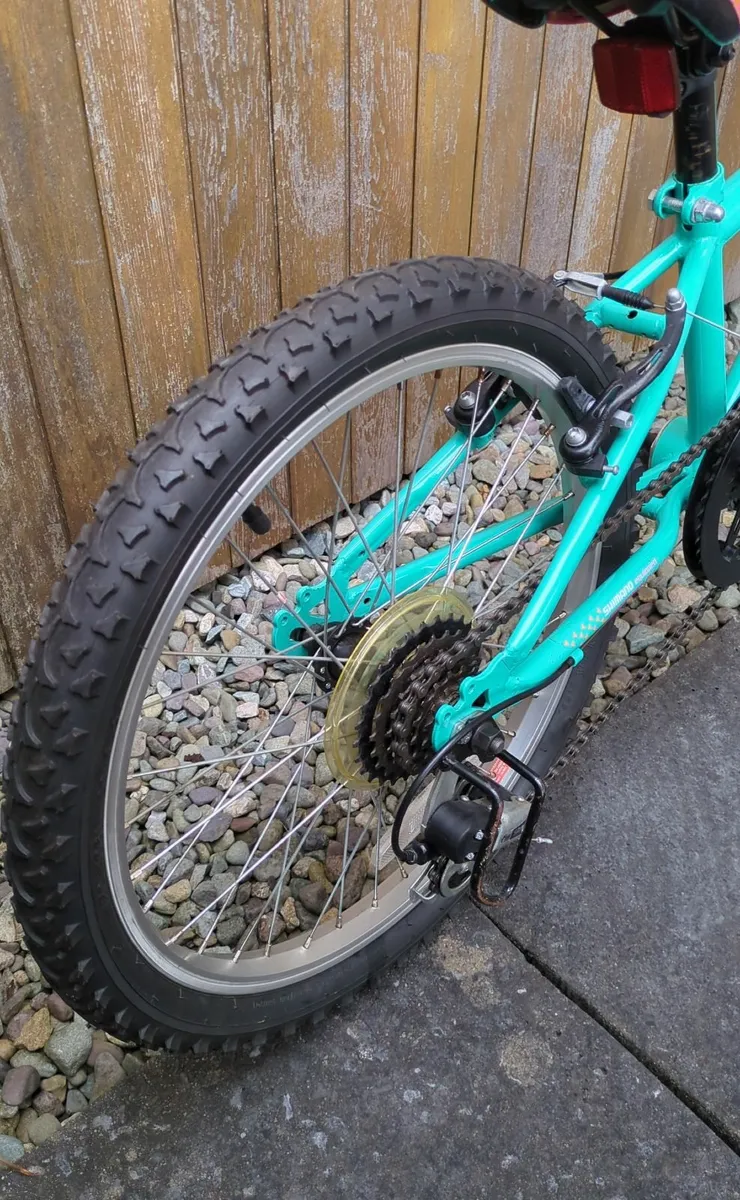 Apollo Zest Junior Mountain 20" Child’s Bicycle - Image 2