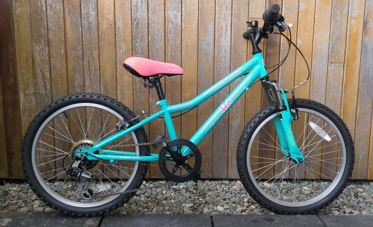 Apollo Zest Junior Mountain 20" Child’s Bicycle - Image 1