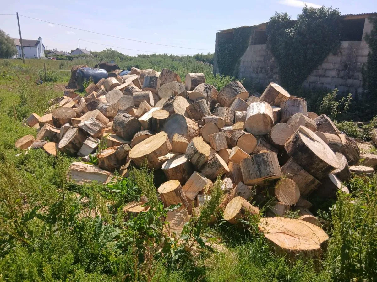 Firewood for sale - Image 3