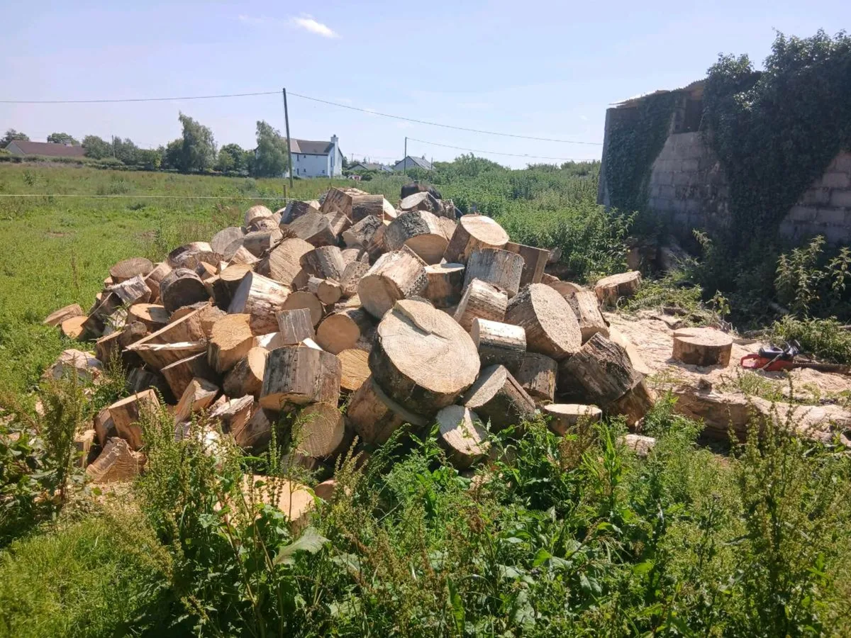 Firewood for sale - Image 4