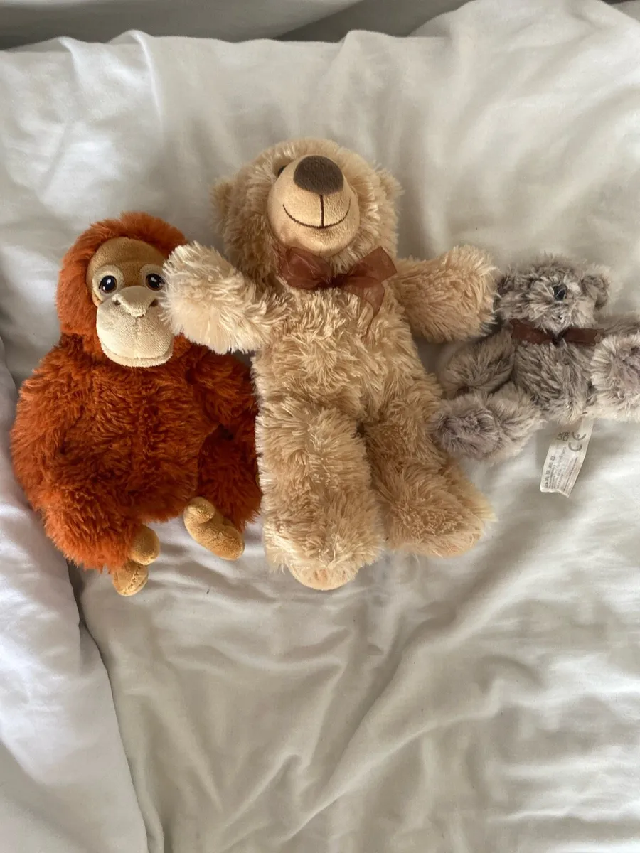 Teddys