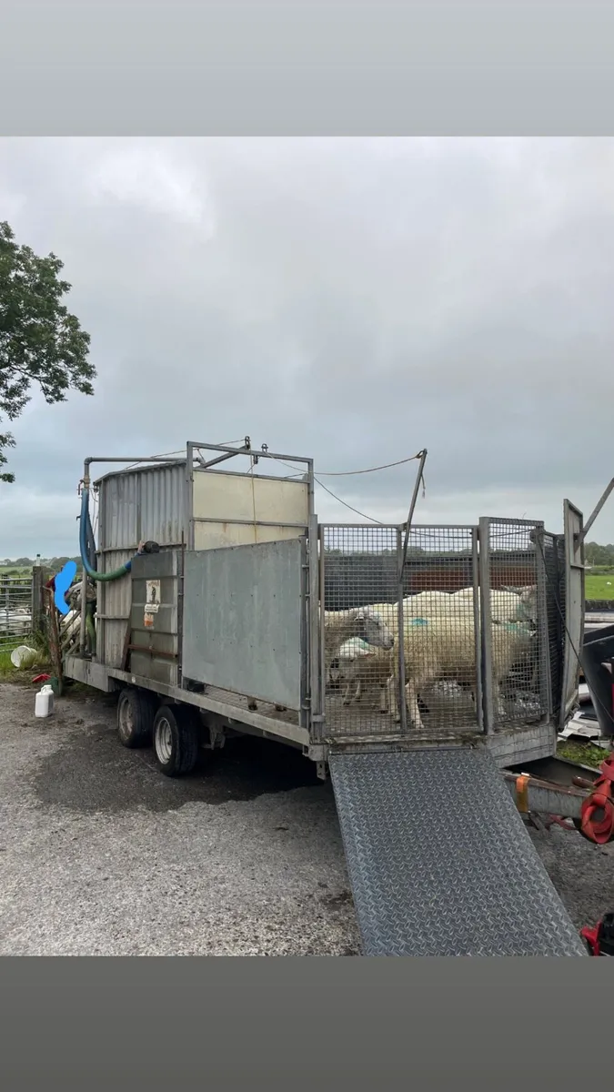 Mobile Sheep dipping - Image 1