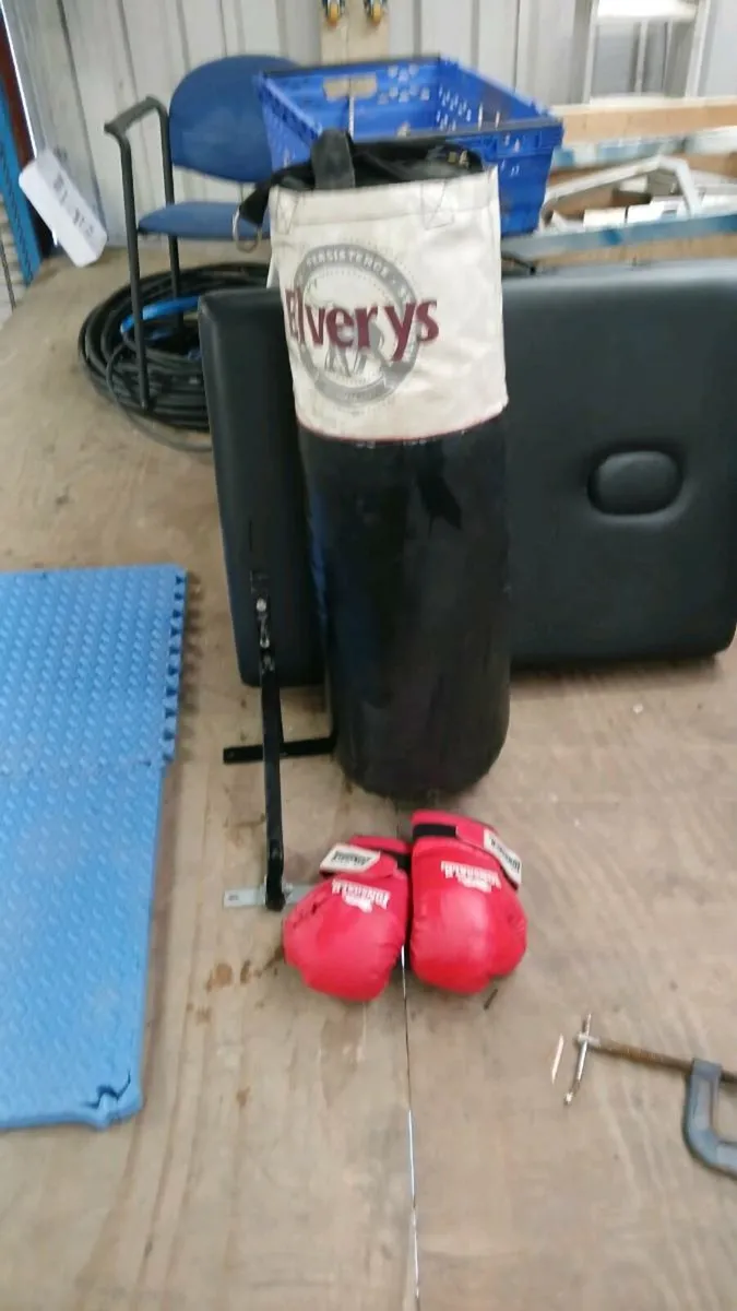 Punch bag. Bracket. Gloves