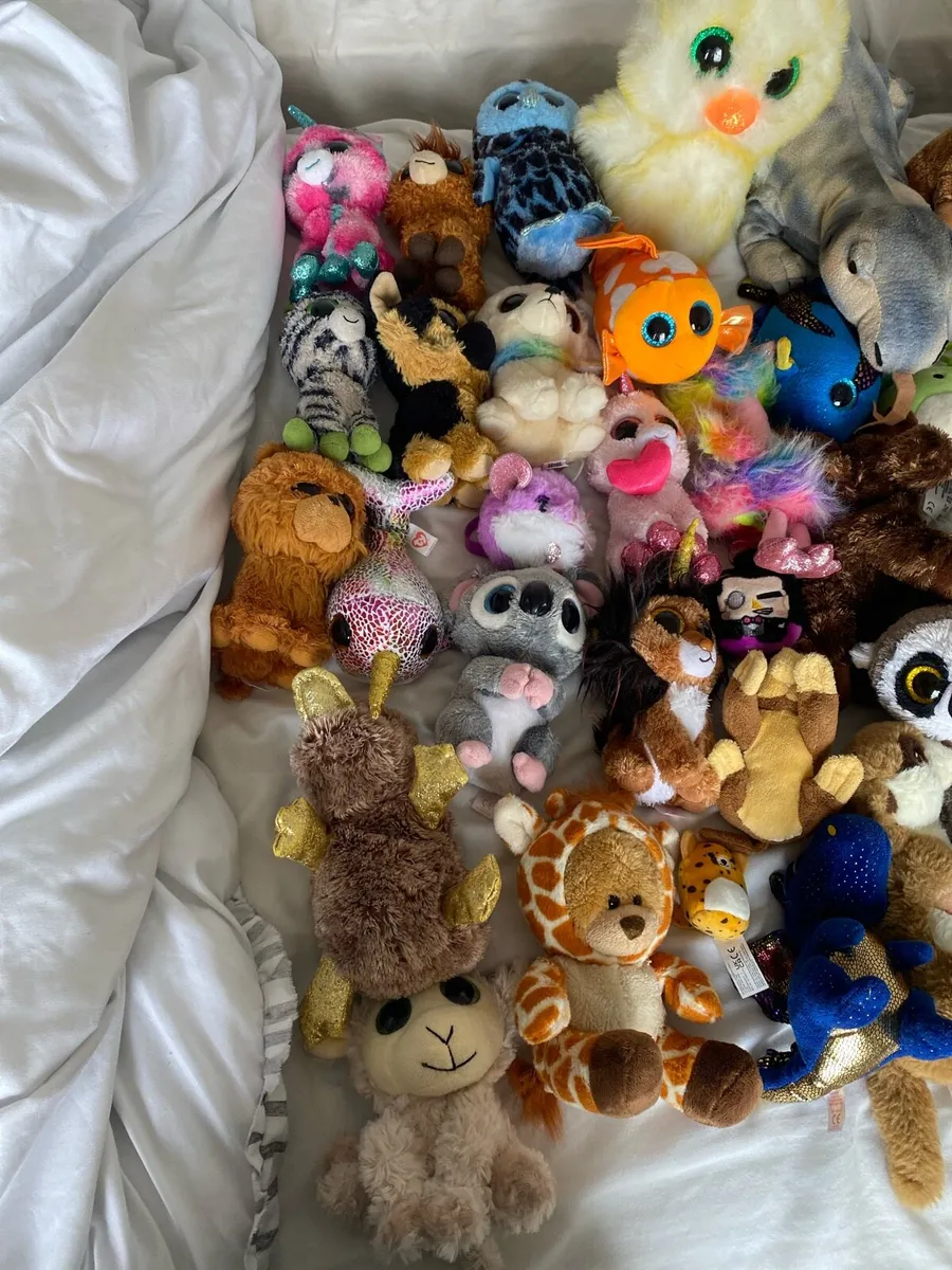 Huge teddy collection - Image 2