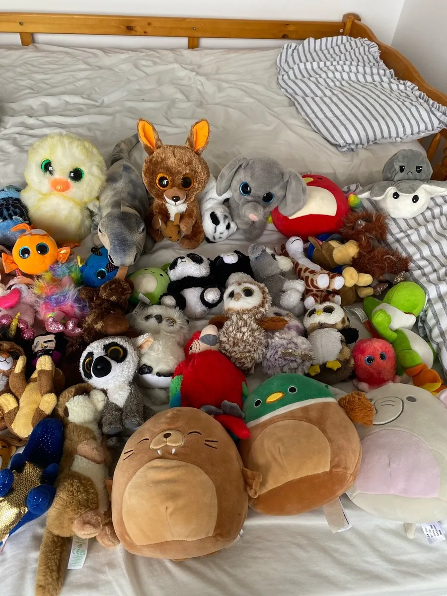 Huge teddy collection - Image 4