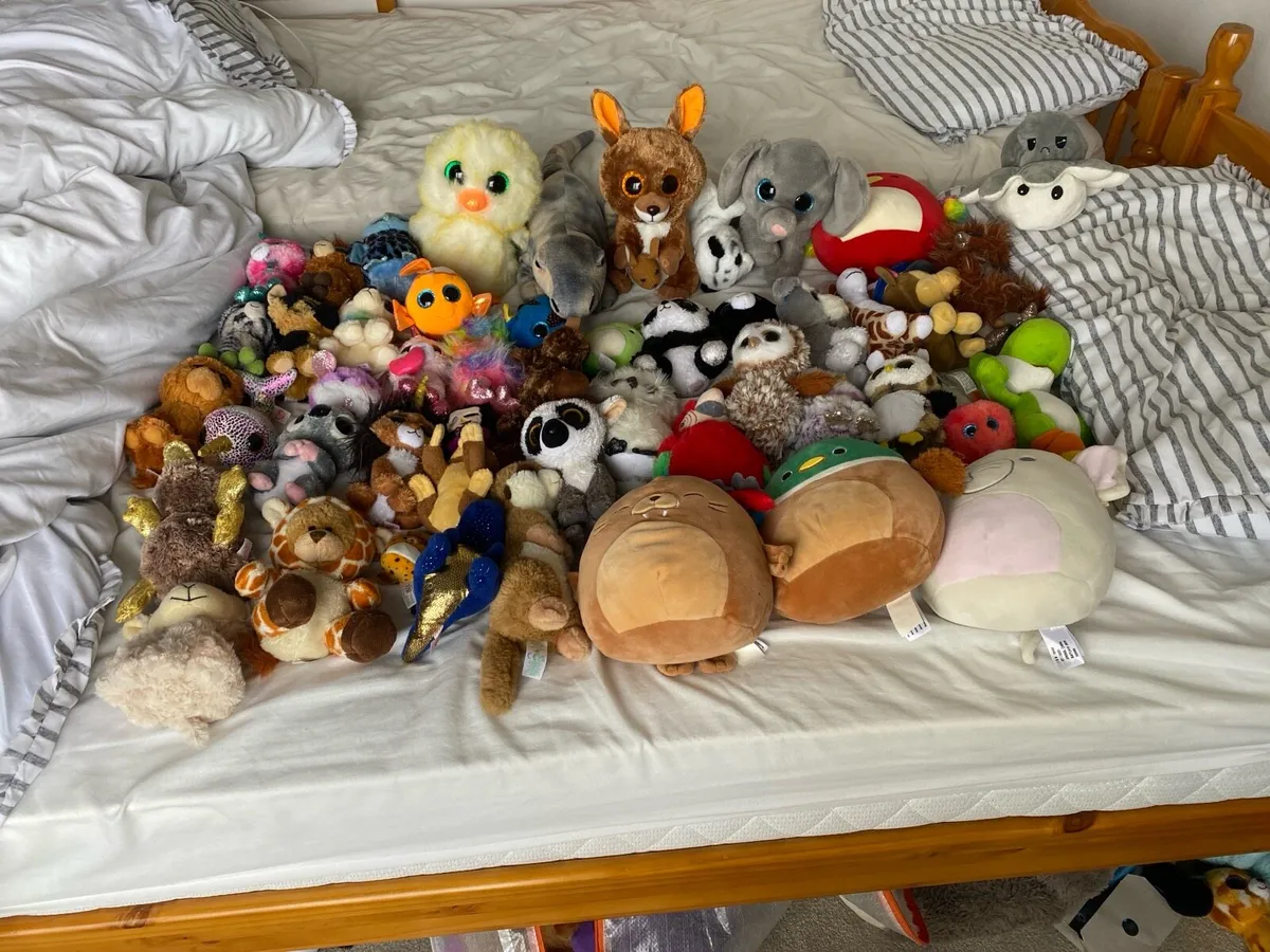 Huge teddy collection - Image 1