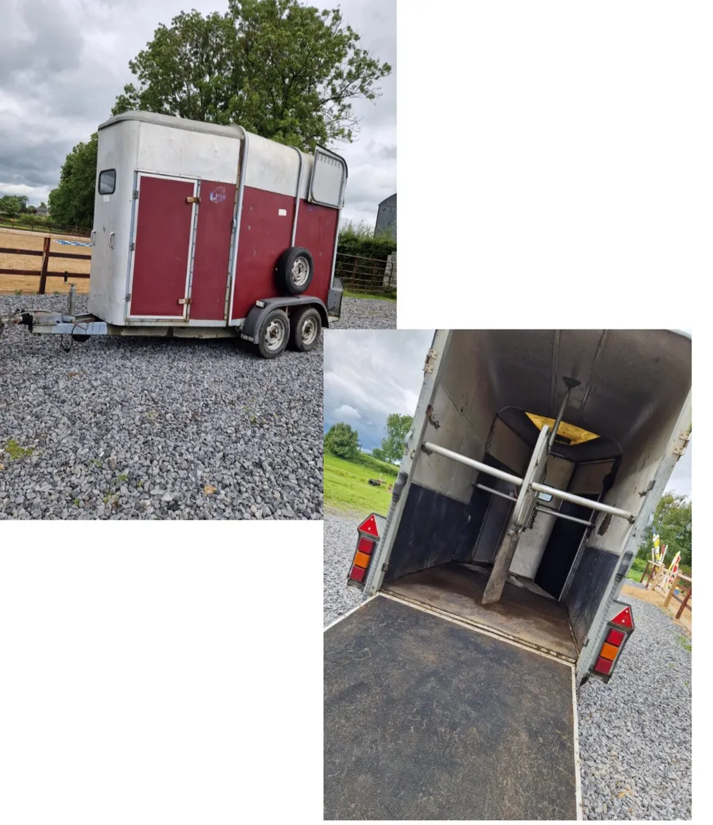 505 Horsebox - Image 3