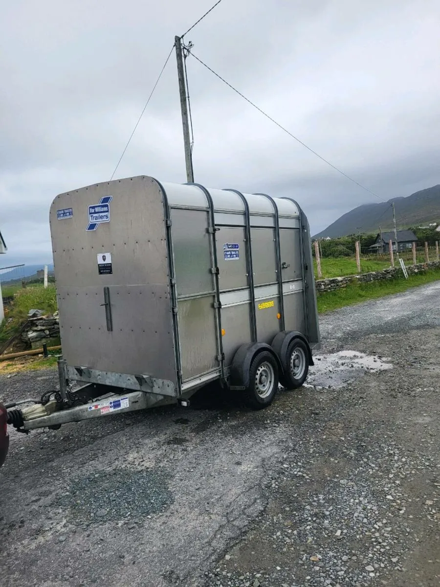 8 x 5 Ivor williams trailer - Image 1