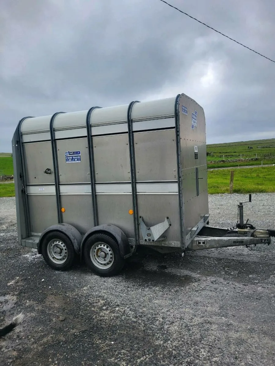 8 x 5 Ivor williams trailer - Image 2