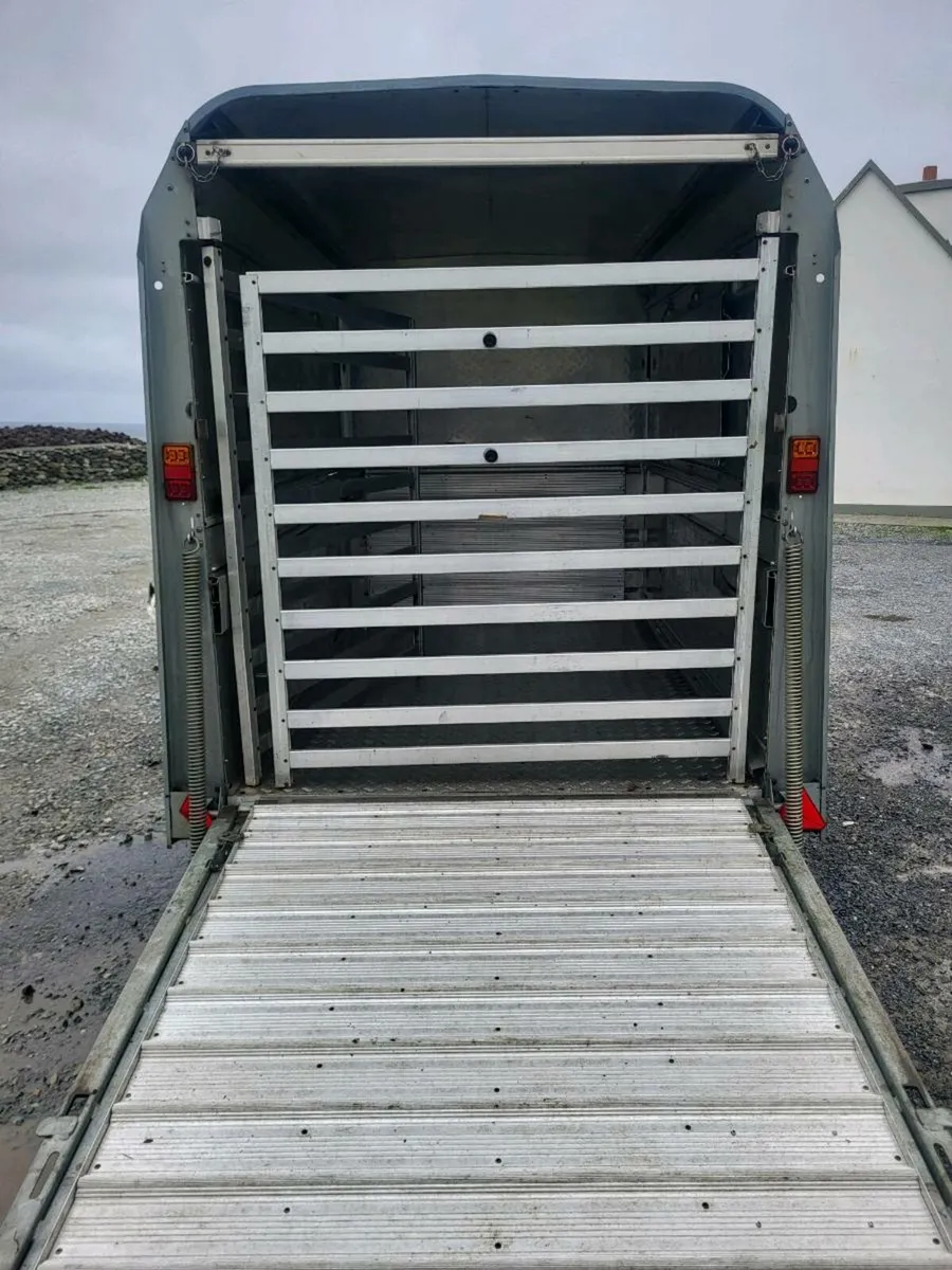 8 x 5 Ivor williams trailer - Image 4