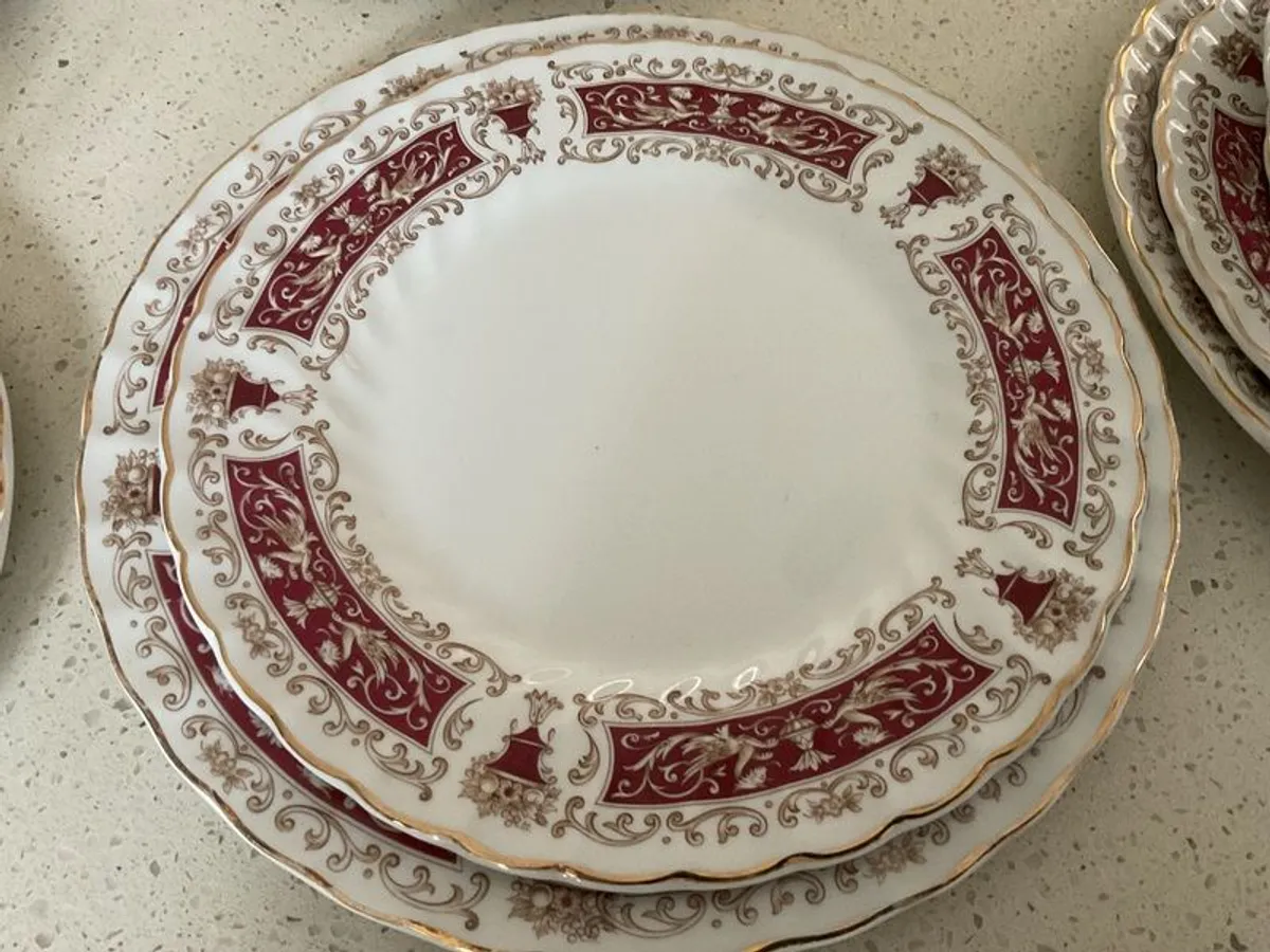 Rialto 46 Piece Vintage Dinner Service by Myott - Image 3